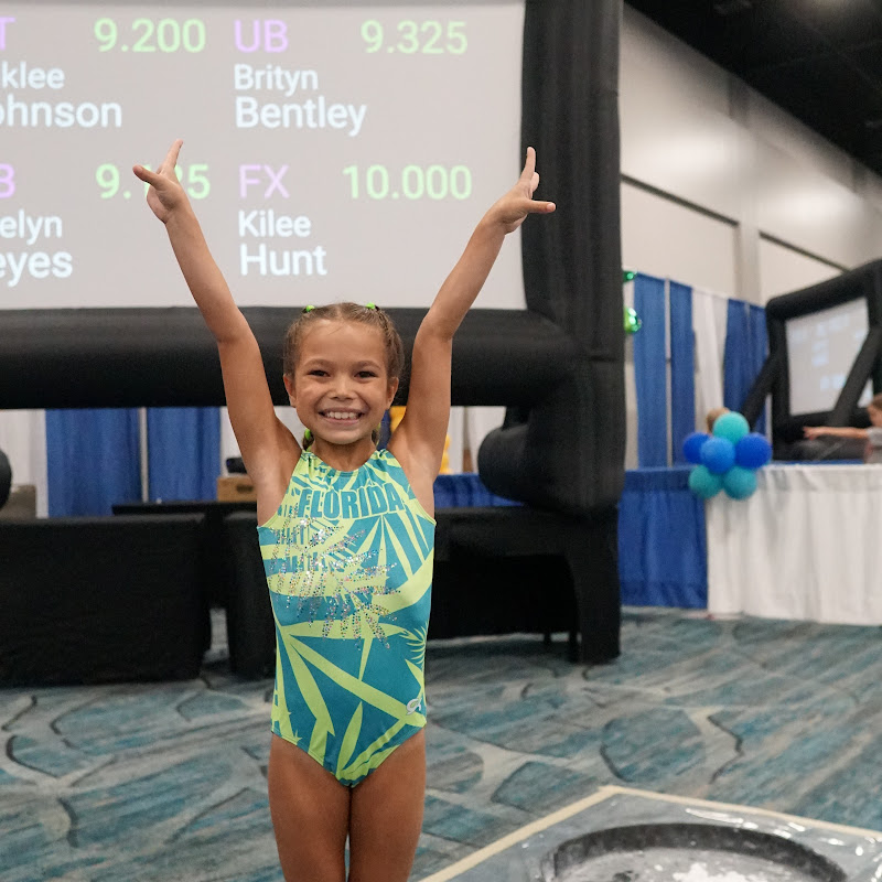 Incredible Gymnasts!