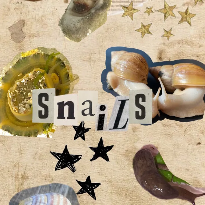 ℍ𝕠𝕓𝕓𝕪 𝕒𝕟𝕚𝕞𝕒𝕝🪴🐌🪲