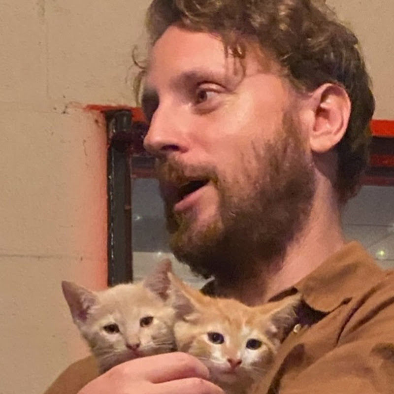 Doug and the Business Cats