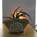 Plant Studio