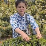 乡村灵子