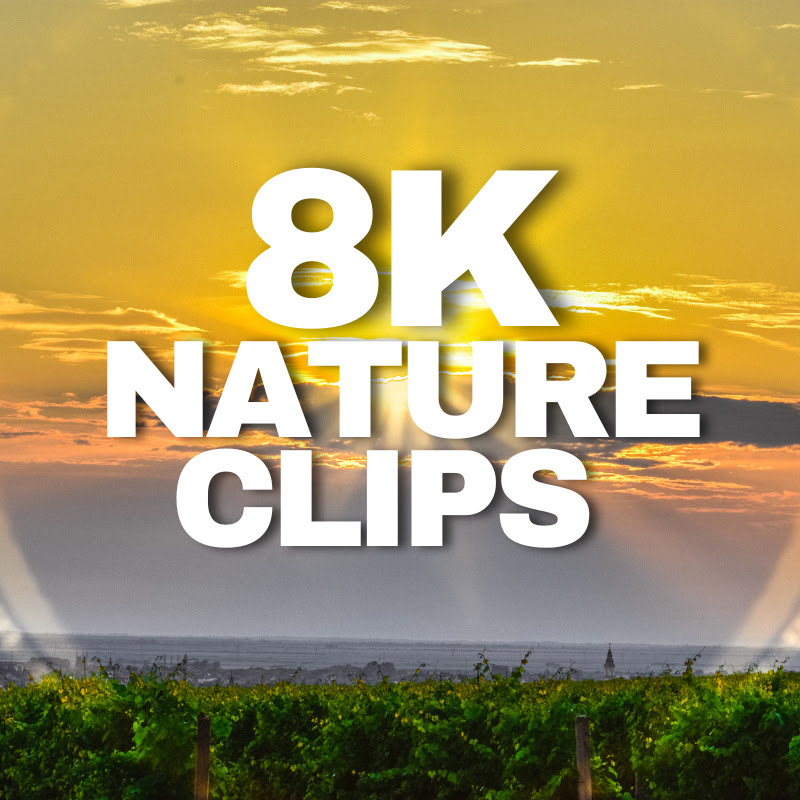 8K Nature Clips
