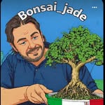 🌳Bonsai_jade🌳Emanuele