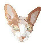 Sphynx Swag