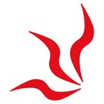 Naheed.pk Online Shopping