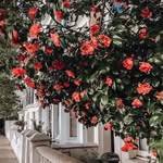 fairytalesoflondon