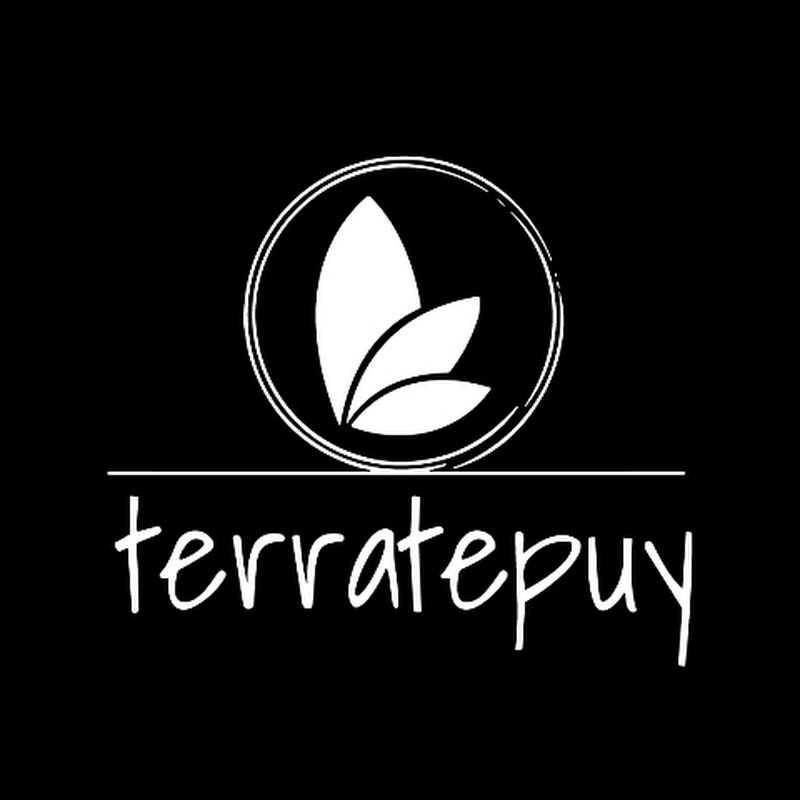 Terratepuy