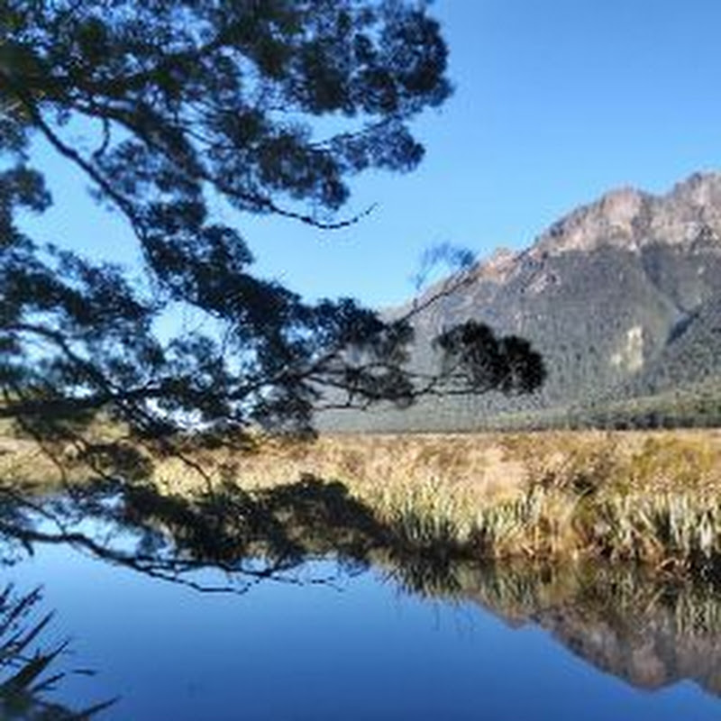 My New Zealand Journey