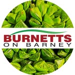 Burnetts On Barney