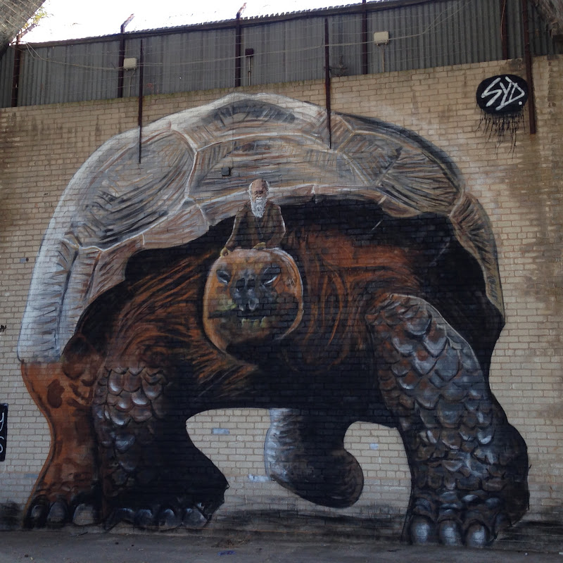 The Stencil Shed