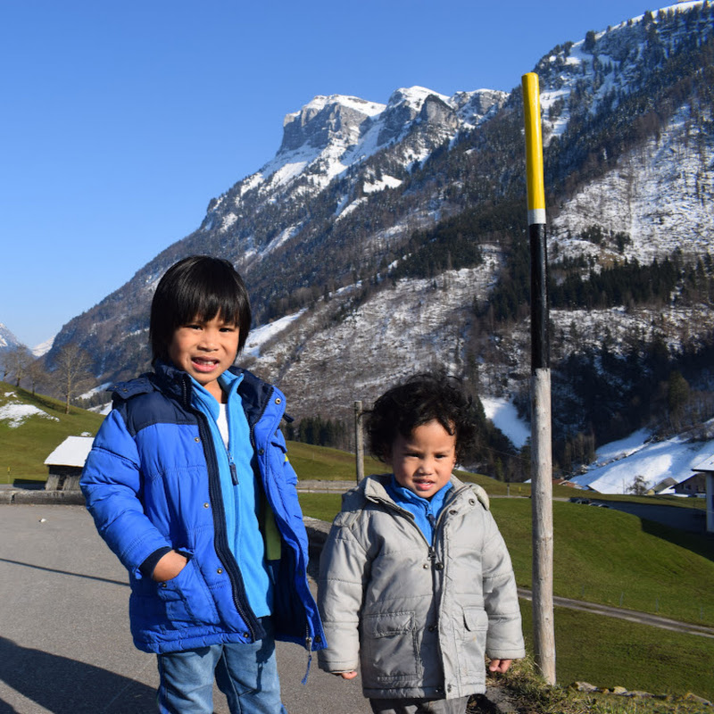 Gavin and Garren's Adventure