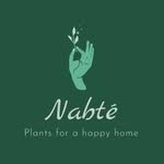 Nabté