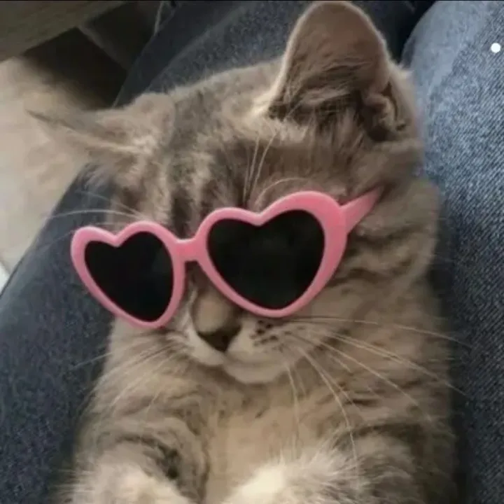 🌸