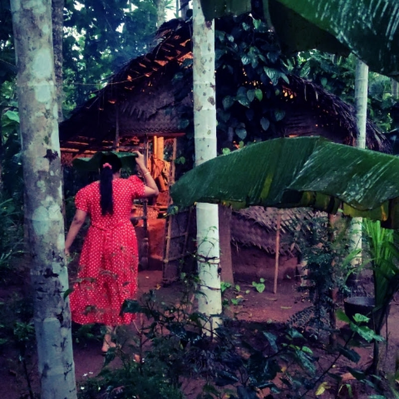 Traditional Village Life Kerala