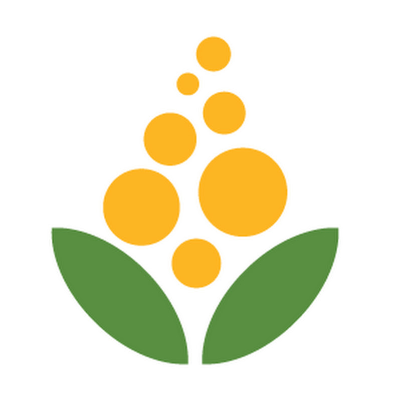 Wattle Accountants Australia