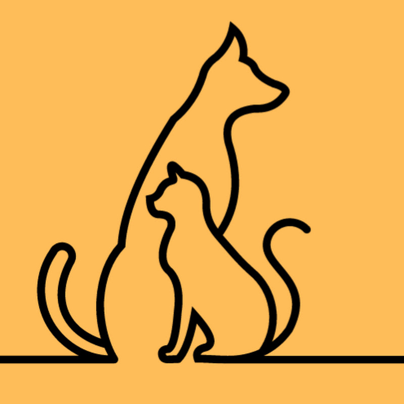 Animal Balkas