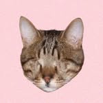 Blind Cat Dmitri
