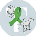 TAME PET APP | Pet Wellness App