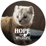 Hope For Wildlife