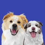 MURPHY & REGGIE