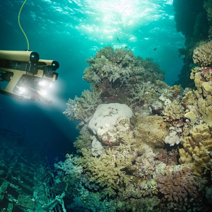 EXPLORING THE OCEAN BOTTOM