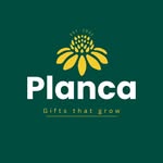 🌵Planca Succulents | Natural plants
