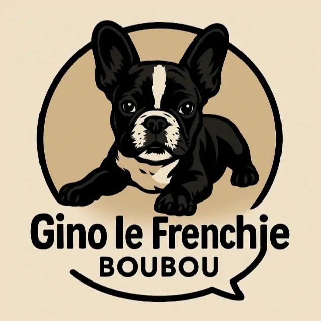 Gino Le Frenchie Boubou