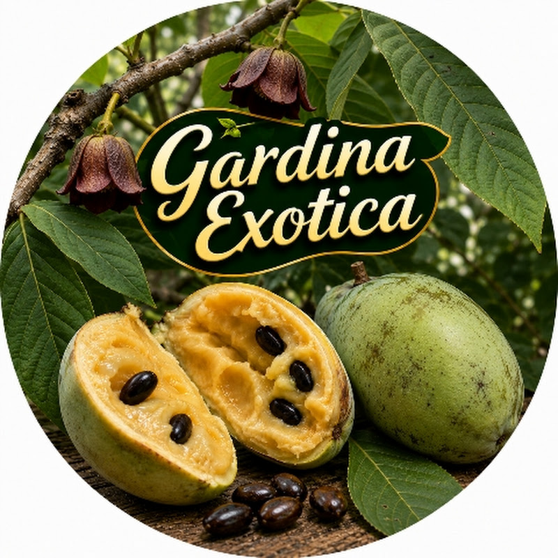 Gradina Exotica