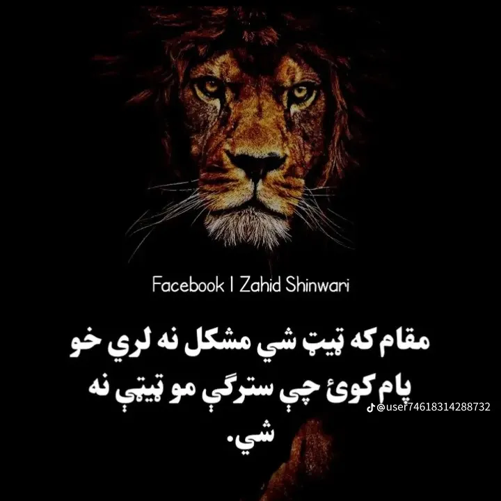 Ok❤️🇦🇫🦁AFG๛FIRE유999