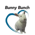 Bunny Bunch Rabbit Rescue