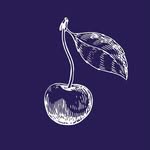 Purple Cherry Architecture & Interiors