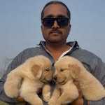 Vikas Patel- The Pet Specialist