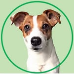 Luna JRT