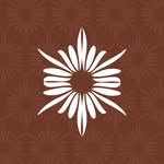 VOVO Design