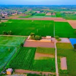 ✨Our Punjab🌾
