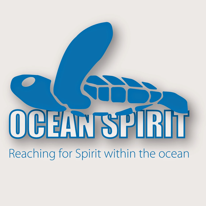 Ocean Spirit Scuba Diving Mauritius 
