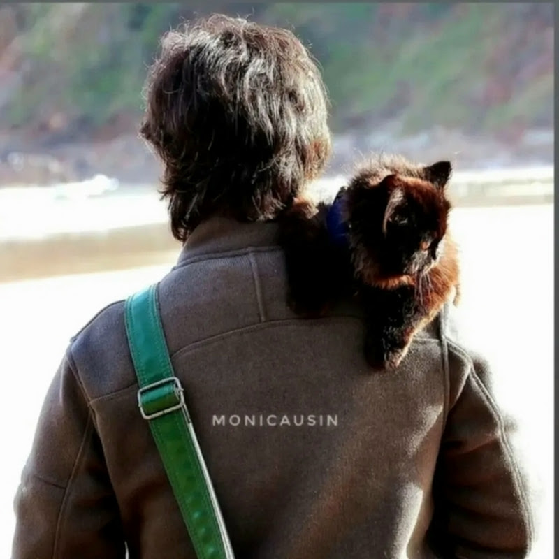 MINORTE Slow Life 🌿