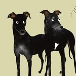 Eggboi in the Haus of Hogs