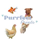 Custom Pet Illustrations🐾