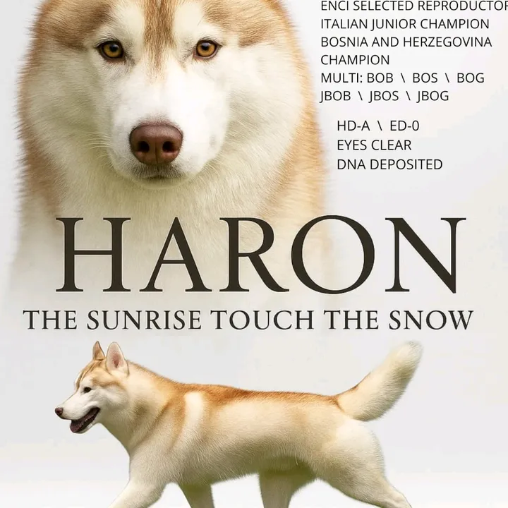 Haron