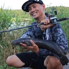Oz Bangkokhooker