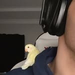 عبدالحليمゞ