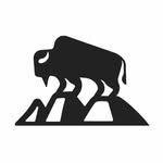 Bison Gear 🦬/ Ready To Roam