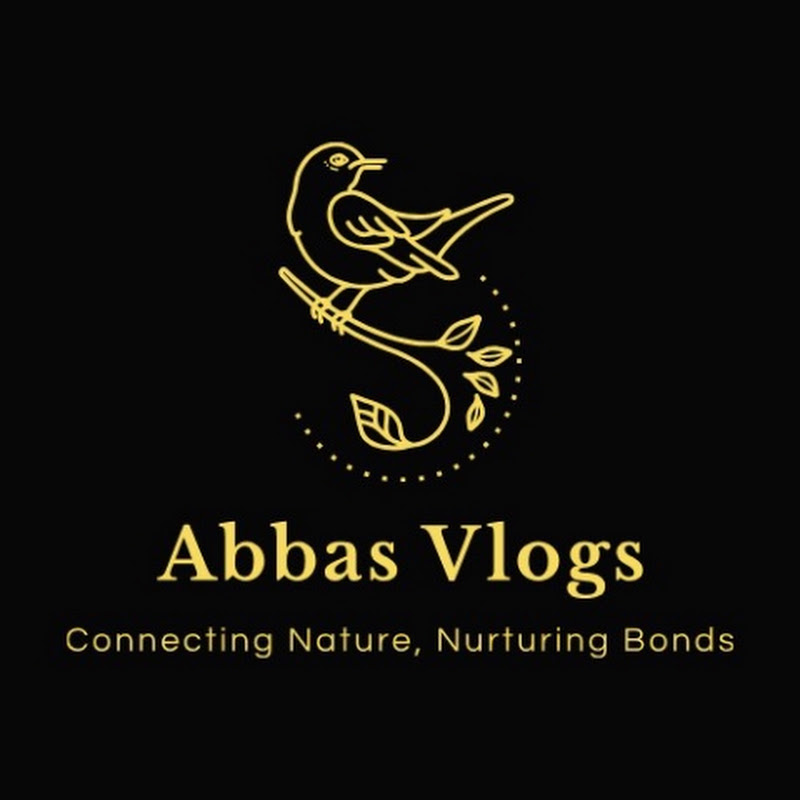 Abbasvlogs 