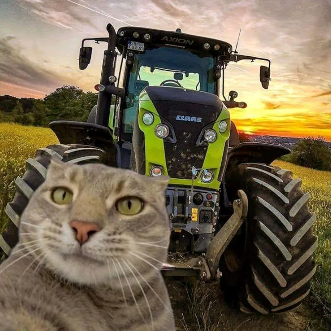 aGro_clips