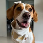 Gamora | por Rafaela Zanin