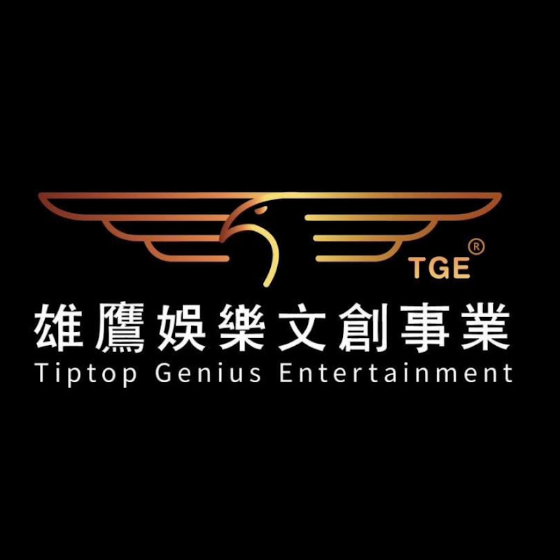 雄鷹控股集團 TIP.TOP.GENIUS