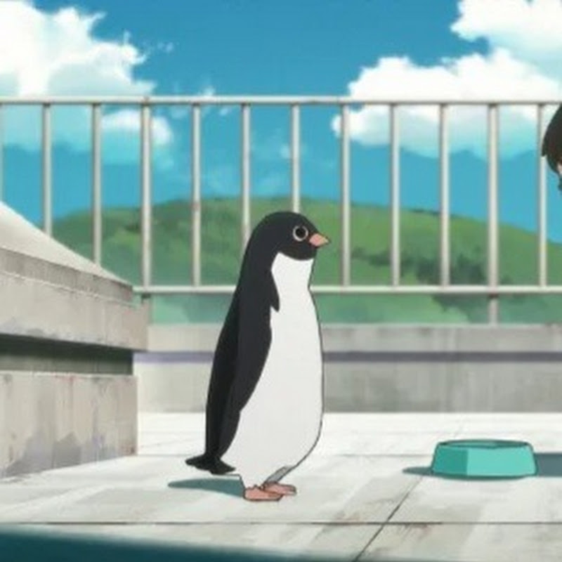 思い出を振り返る