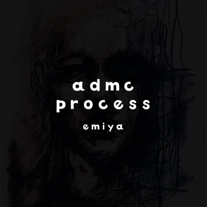 emiya.process