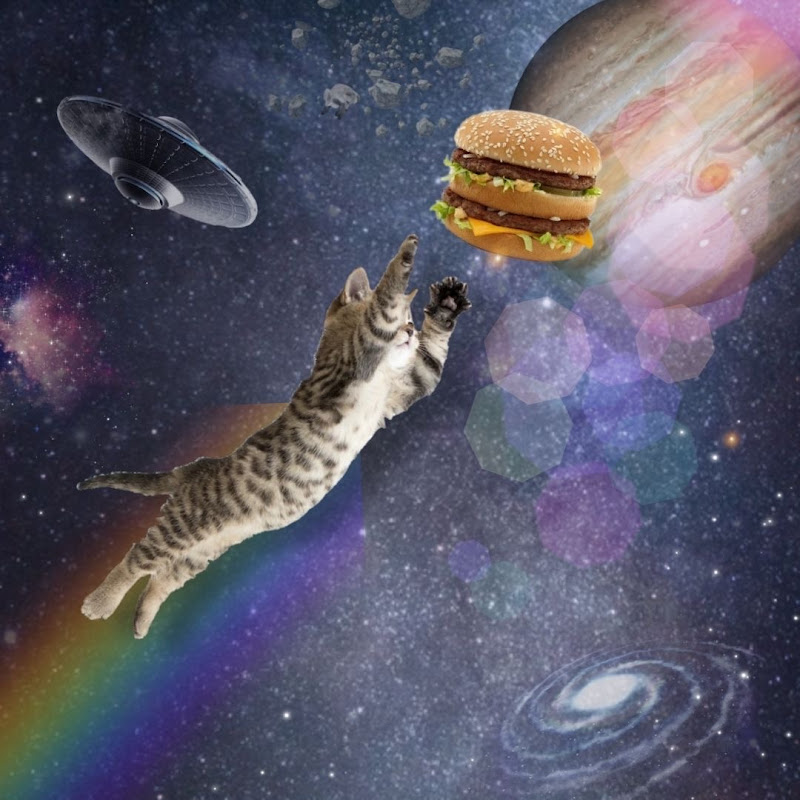 𝜗ৎ floppingdorito  ࣪ ⋆ ִֶָ☾.